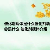 催化剂载体是什么催化剂载体的概念是什么 催化剂载体介绍
