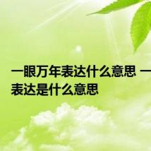 一眼万年表达什么意思 一眼万年表达是什么意思