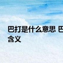 巴打是什么意思 巴打的含义