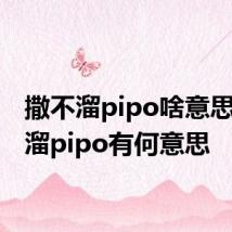 撒不溜pipo啥意思 撒不溜pipo有何意思