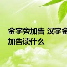 金字旁加告 汉字金字旁加告读什么