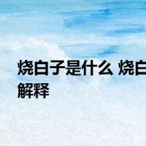 烧白子是什么 烧白子的解释