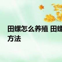 田螺怎么养殖 田螺养殖方法