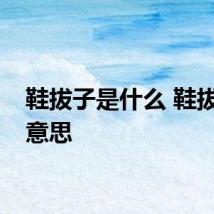 鞋拔子是什么 鞋拔子的意思