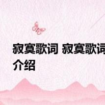 寂寞歌词 寂寞歌词简单介绍