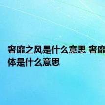 奢靡之风是什么意思 奢靡之风具体是什么意思