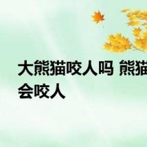 大熊猫咬人吗 熊猫会不会咬人