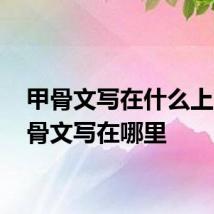 甲骨文写在什么上面 甲骨文写在哪里