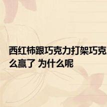 西红柿跟巧克力打架巧克力为什么赢了 为什么呢