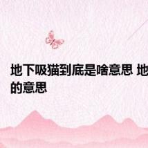地下吸猫到底是啥意思 地下吸猫的意思
