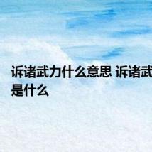 诉诸武力什么意思 诉诸武力意思是什么