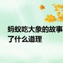蚂蚁吃大象的故事 讲述了什么道理