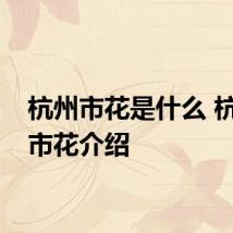 杭州市花是什么 杭州的市花介绍