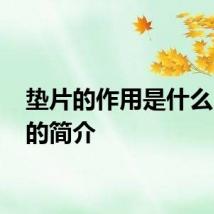 垫片的作用是什么 垫片的简介