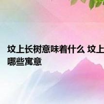 坟上长树意味着什么 坟上长树有哪些寓意