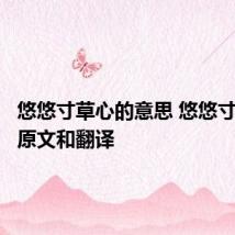悠悠寸草心的意思 悠悠寸草心的原文和翻译