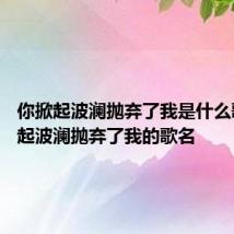 你掀起波澜抛弃了我是什么歌 你掀起波澜抛弃了我的歌名