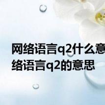 网络语言q2什么意思 网络语言q2的意思