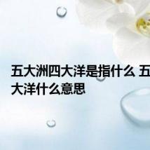 五大洲四大洋是指什么 五大洲四大洋什么意思