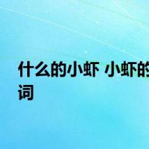 什么的小虾 小虾的形容词