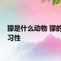 獴是什么动物 獴的生活习性