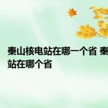 秦山核电站在哪一个省 秦山核电站在哪个省