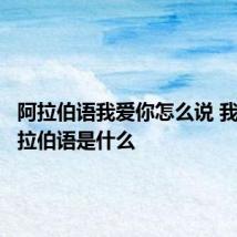 阿拉伯语我爱你怎么说 我爱你阿拉伯语是什么