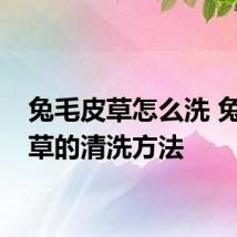 兔毛皮草怎么洗 兔毛皮草的清洗方法
