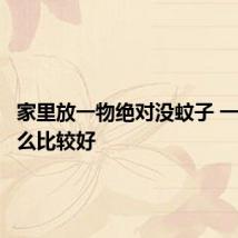 家里放一物绝对没蚊子 一般放什么比较好