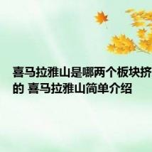 喜马拉雅山是哪两个板块挤压形成的 喜马拉雅山简单介绍