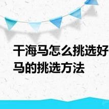 干海马怎么挑选好 干海马的挑选方法