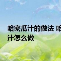 哈密瓜汁的做法 哈密瓜汁怎么做