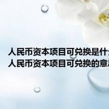 人民币资本项目可兑换是什么意思 人民币资本项目可兑换的意思是