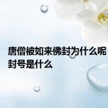 唐僧被如来佛封为什么呢 唐僧的封号是什么