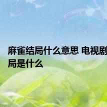 麻雀结局什么意思 电视剧麻雀结局是什么