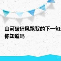 山河破碎风飘絮的下一句是什么 你知道吗