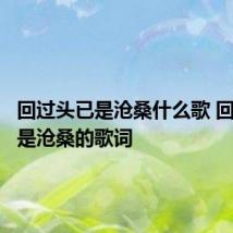 回过头已是沧桑什么歌 回过头已是沧桑的歌词