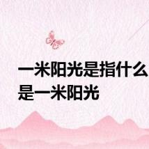 一米阳光是指什么 什么是一米阳光
