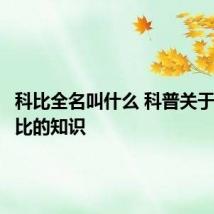 科比全名叫什么 科普关于球星科比的知识