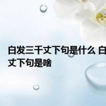 白发三千丈下句是什么 白发三千丈下句是啥