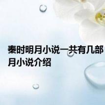 秦时明月小说一共有几部 秦时明月小说介绍