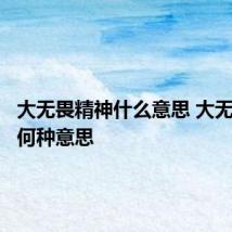 大无畏精神什么意思 大无畏精神何种意思