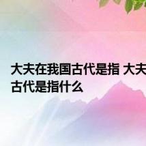 大夫在我国古代是指 大夫在我国古代是指什么