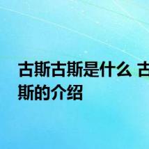 古斯古斯是什么 古斯古斯的介绍