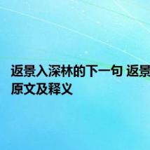返景入深林的下一句 返景入深林原文及释义
