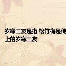 岁寒三友是指 松竹梅是传统意义上的岁寒三友