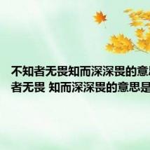 不知者无畏知而深深畏的意思 不知者无畏 知而深深畏的意思是什么