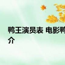 鸭王演员表 电影鸭王简介
