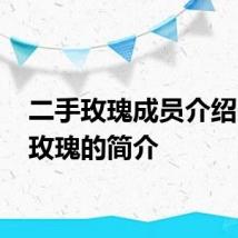 二手玫瑰成员介绍 二手玫瑰的简介