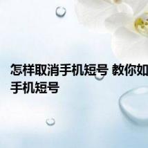 怎样取消手机短号 教你如何取消手机短号